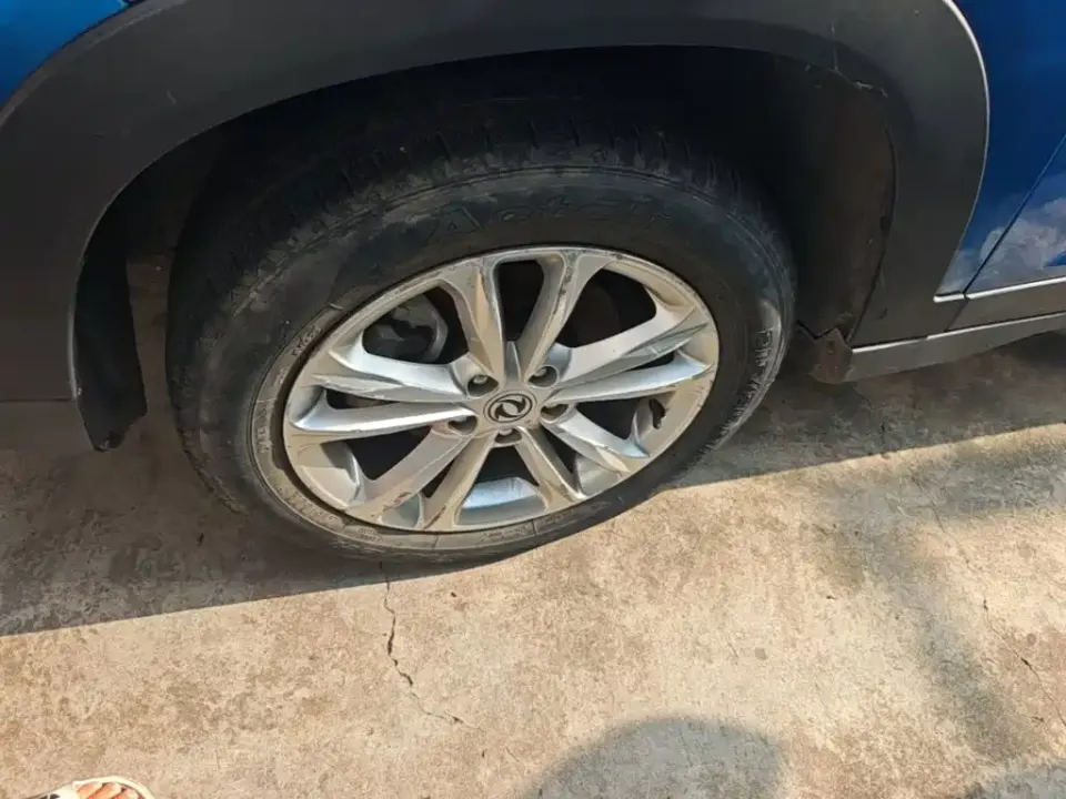 Fengguang Fengguang S560