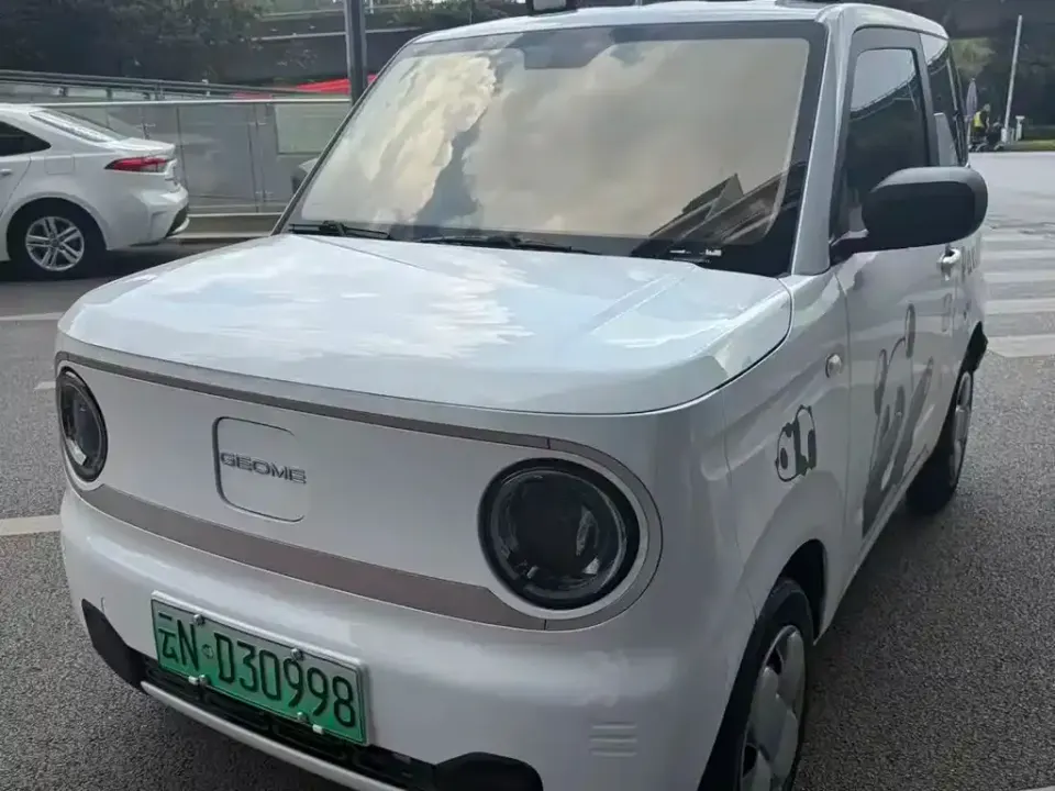 Galaxy Panda