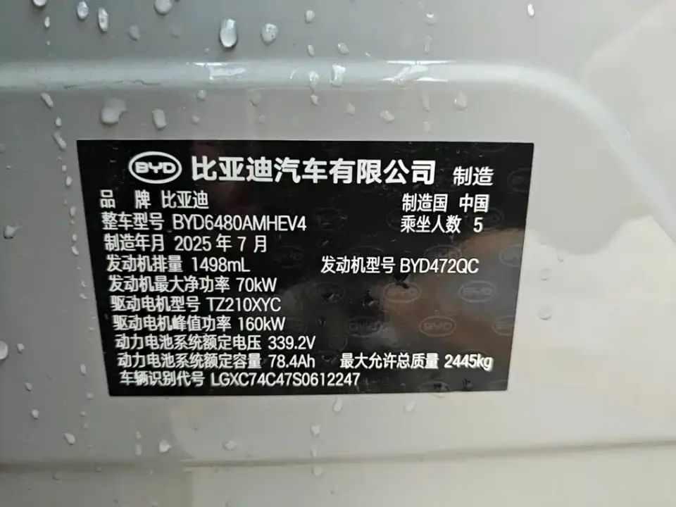 BYD Sealion 06