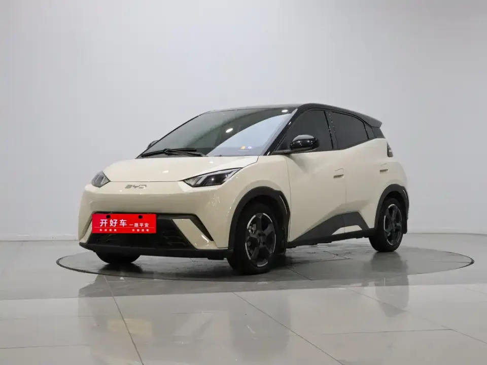 BYD Seagull