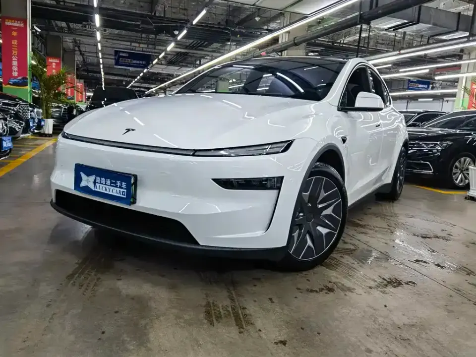 Tesla Model Y L