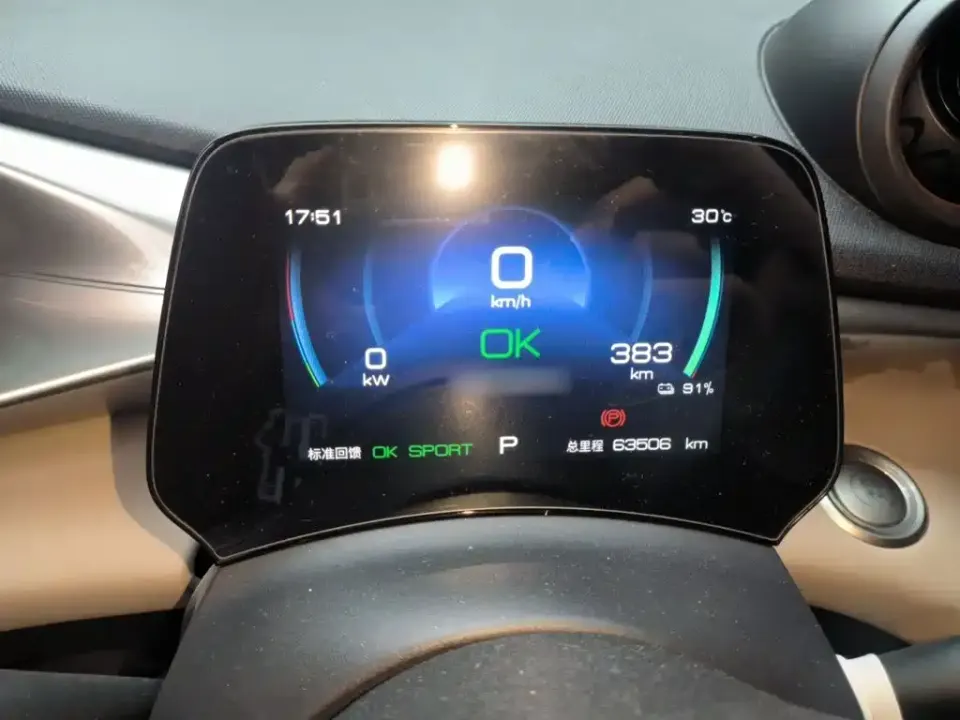 BYD Dolphin