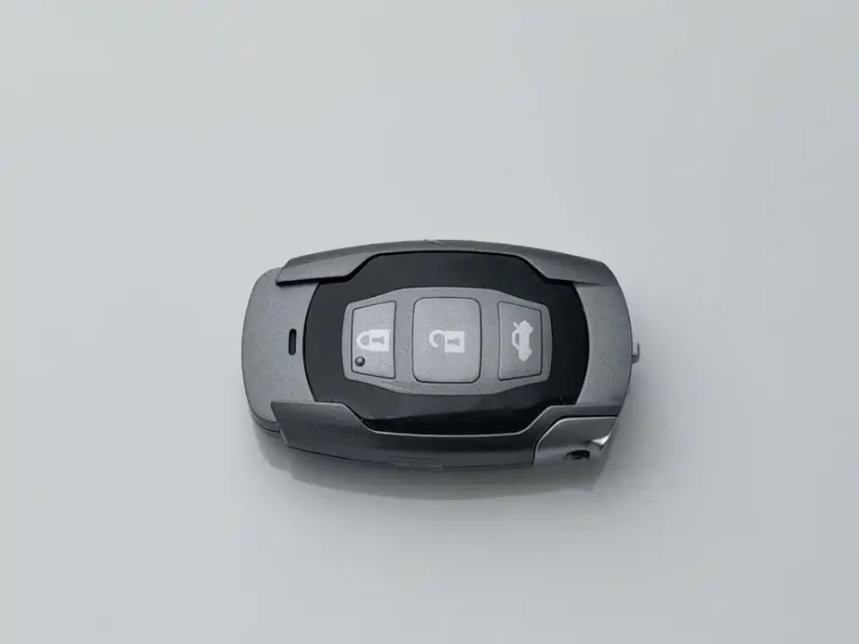 BYD Surui