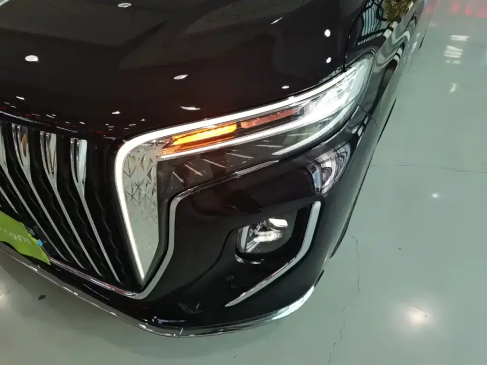 Hongqi Hongqi HQ9