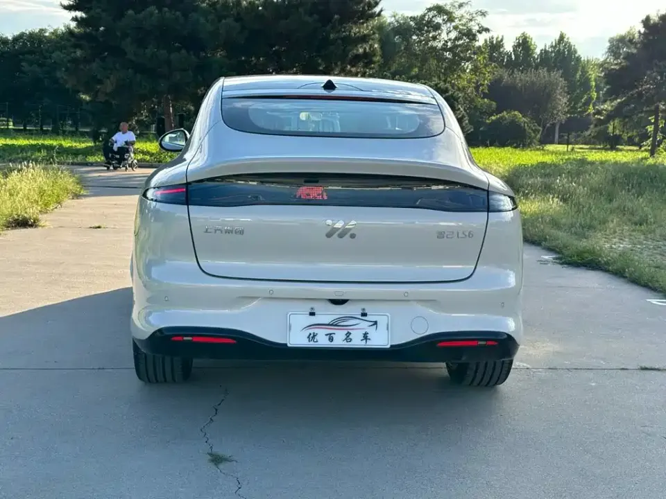 IM Motors IM LS6