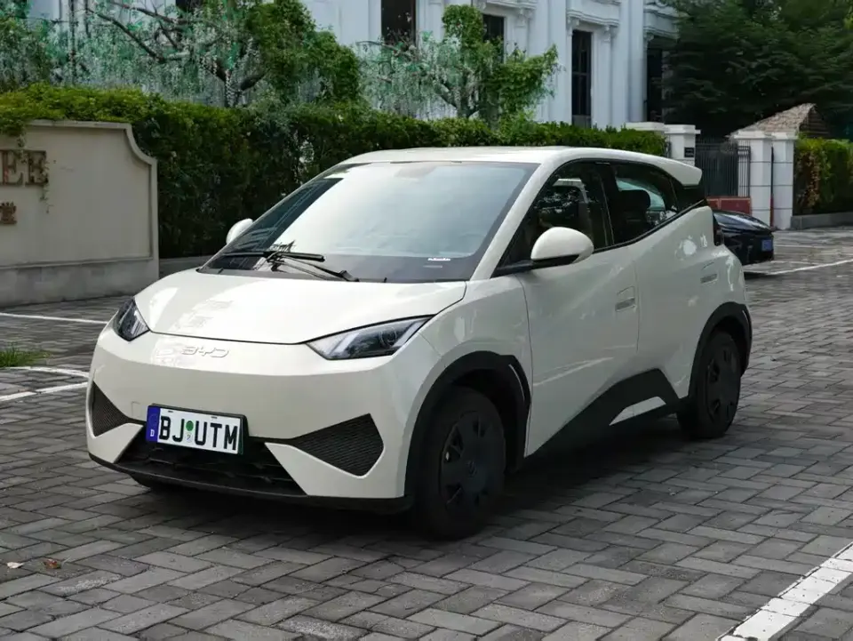 BYD Seagull