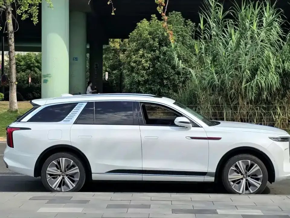 Hongqi Hongqi E-HS9