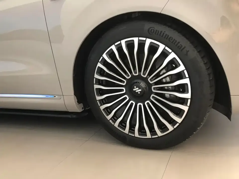 IM Motors IM LS9
