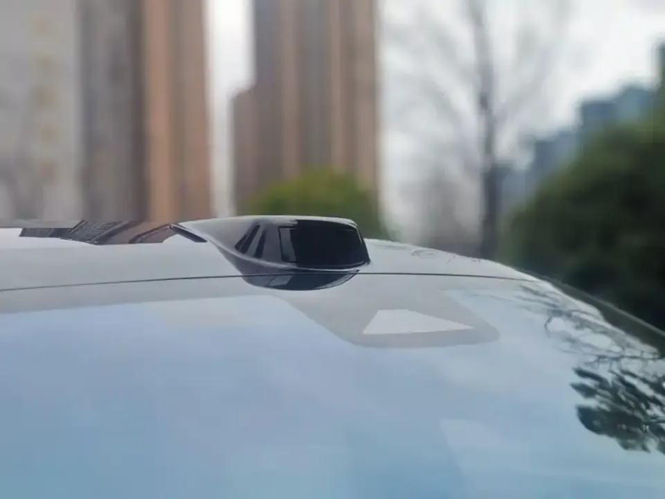 Li Li L9