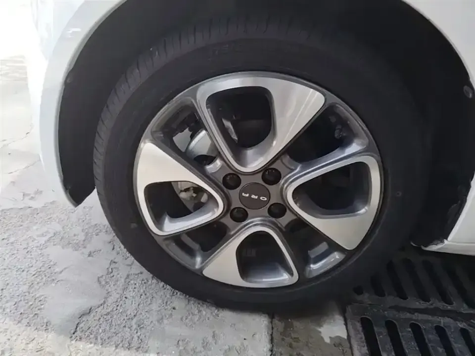 ORA Ora White Cat