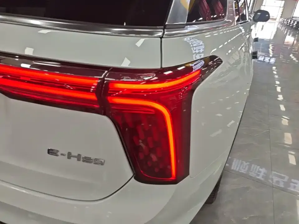 Hongqi Hongqi E-HS9