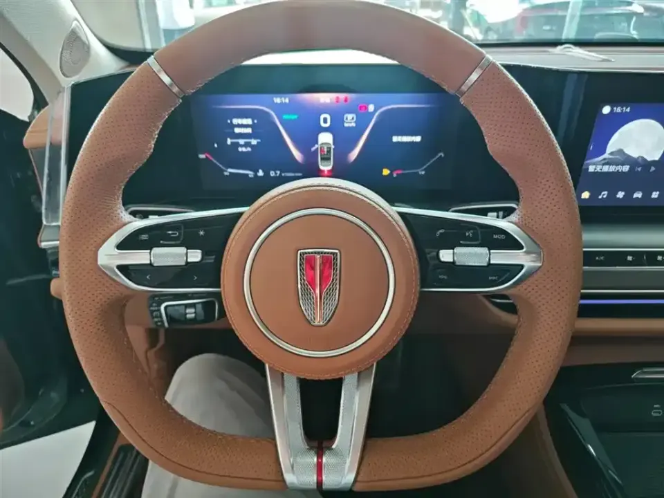 Hongqi Hongqi H9