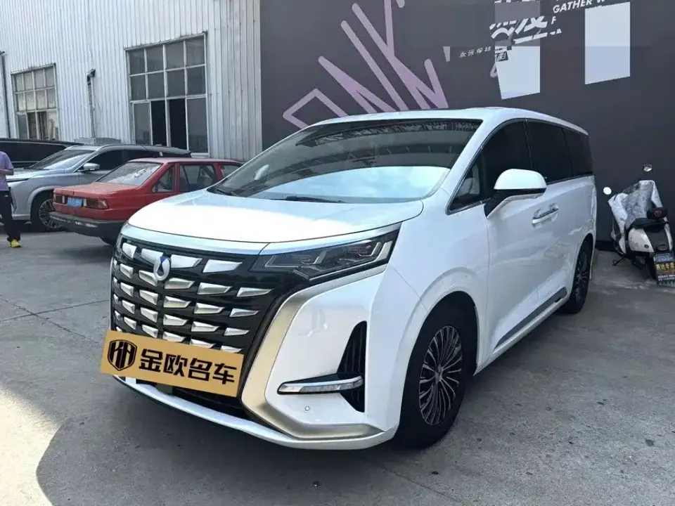 Denza Denza D9