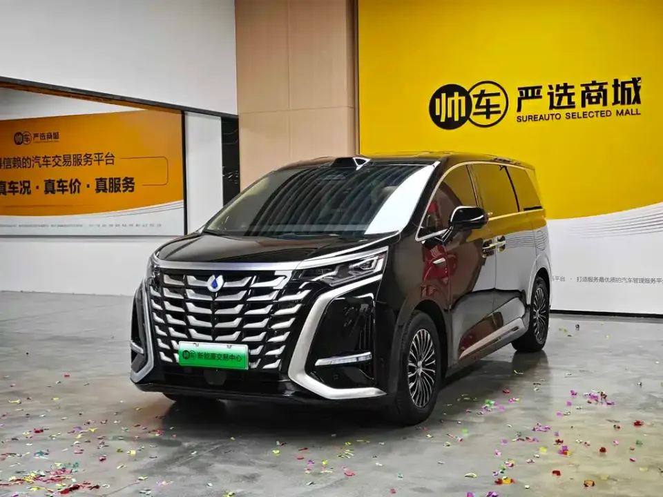 Denza Denza D9