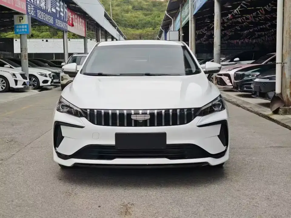 Geely Binrui