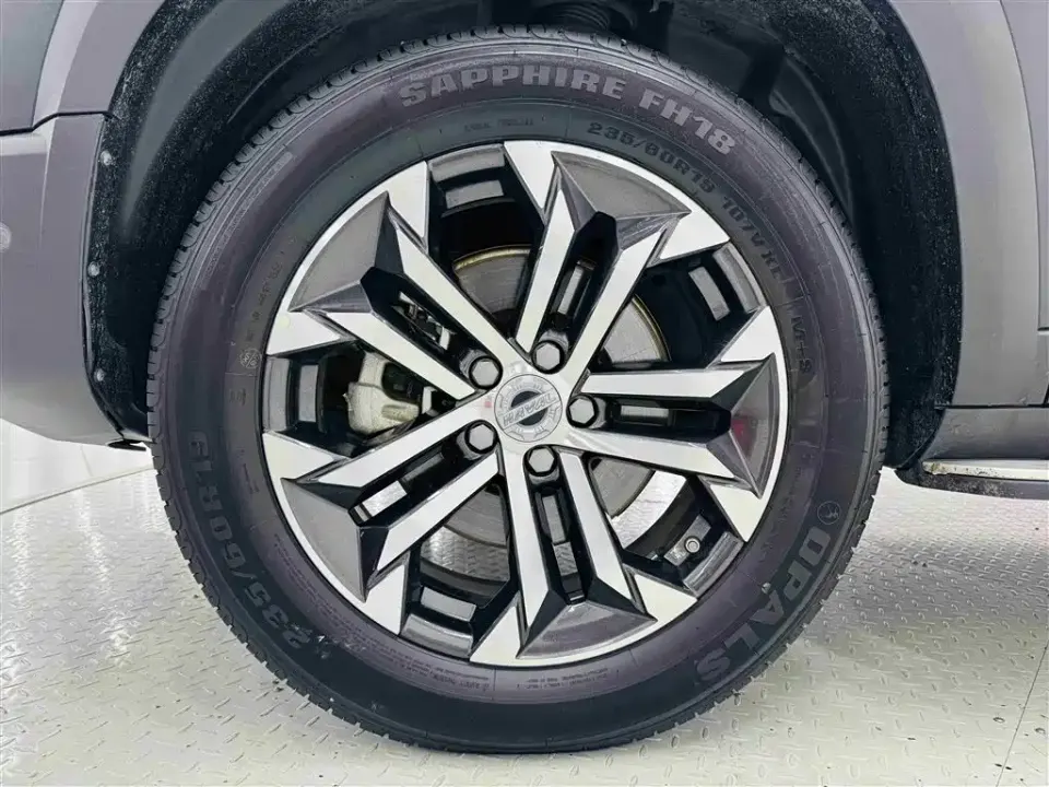 Haval Big Dog