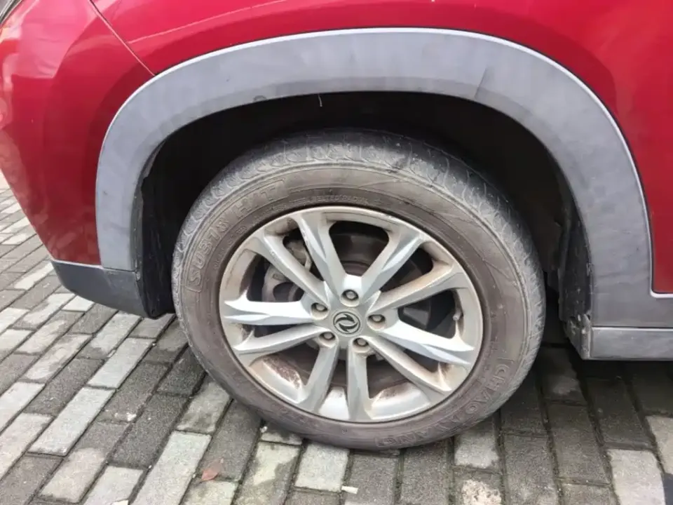Fengguang Fengguang S560