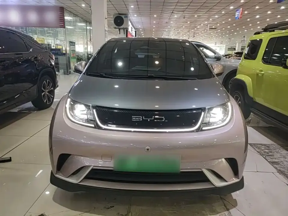 BYD Dolphin