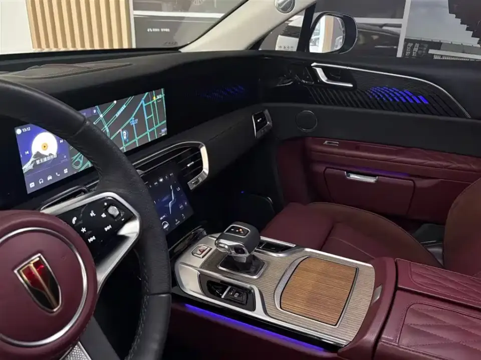 Hongqi Hongqi E-HS9