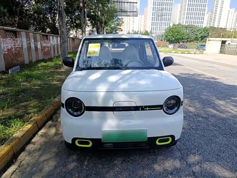 Galaxy Panda