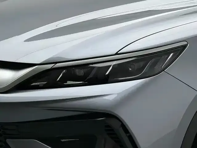 BYD Pro New Energy