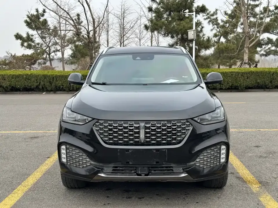 WEY Wey VV6