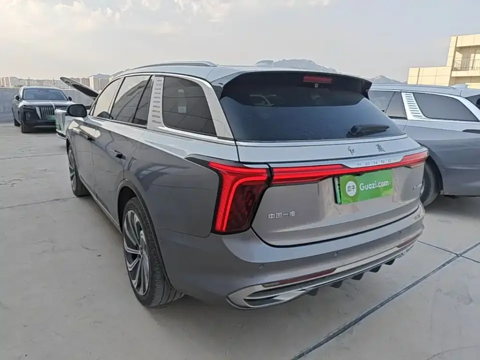 Hongqi Hongqi E-HS9