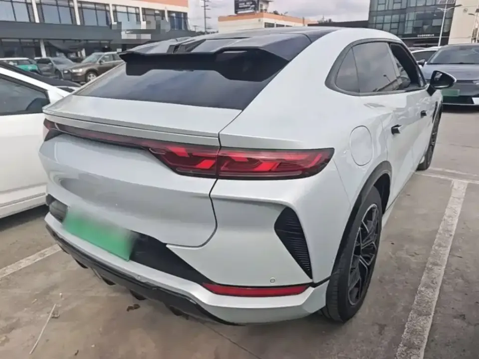 BYD L EV