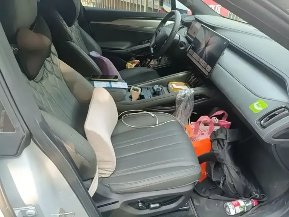 BYD L EV