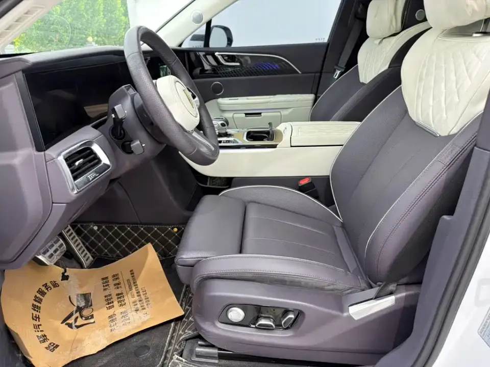 Hongqi Hongqi E-HS9