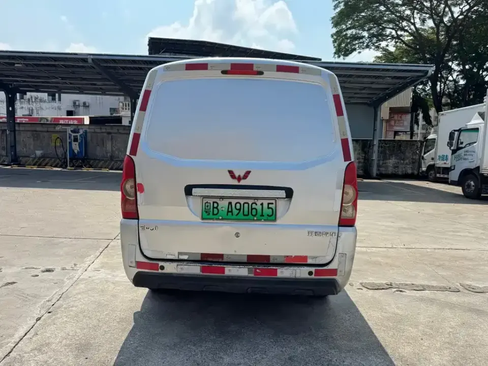Wuling Wuling EV50