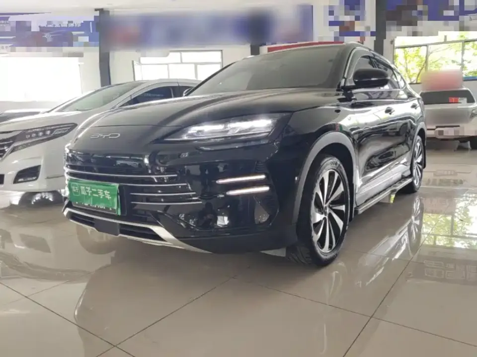 BYD PLUS New Energy