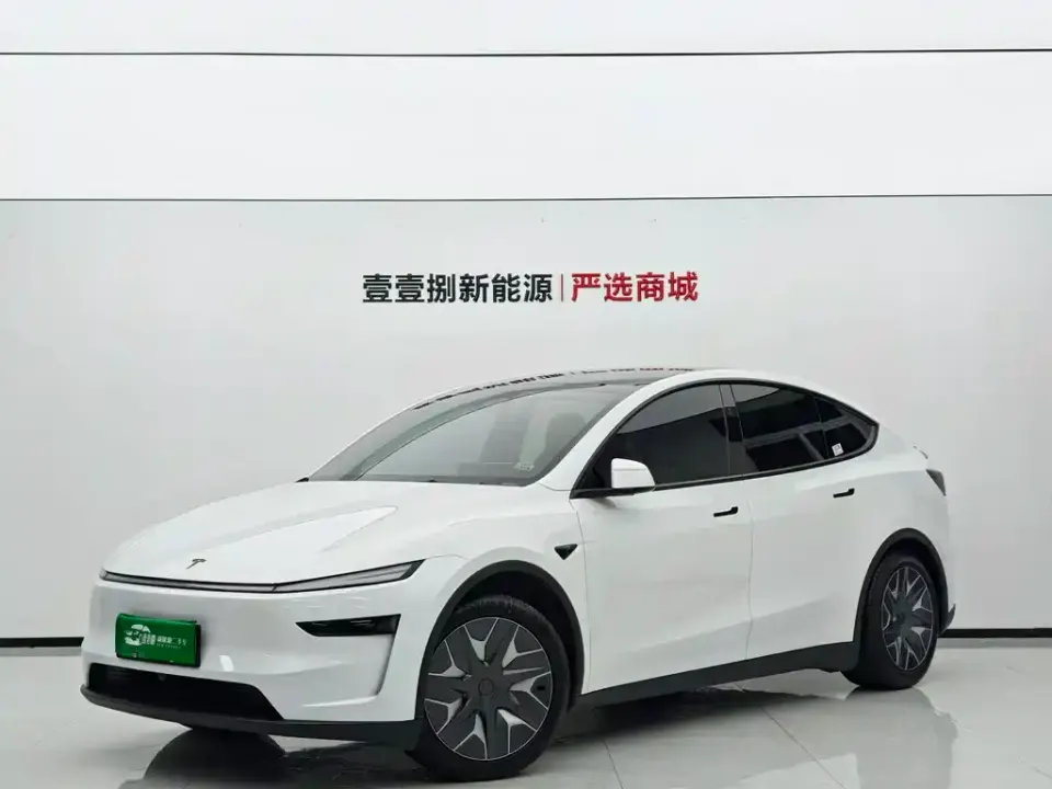 Tesla Model Y L