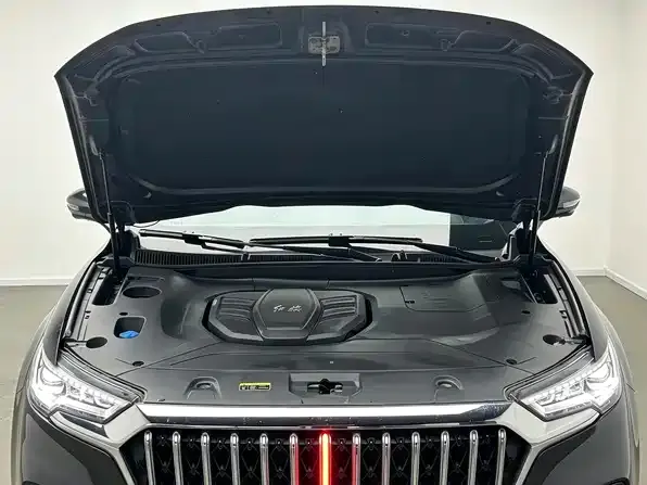 Hongqi Hongqi HS5