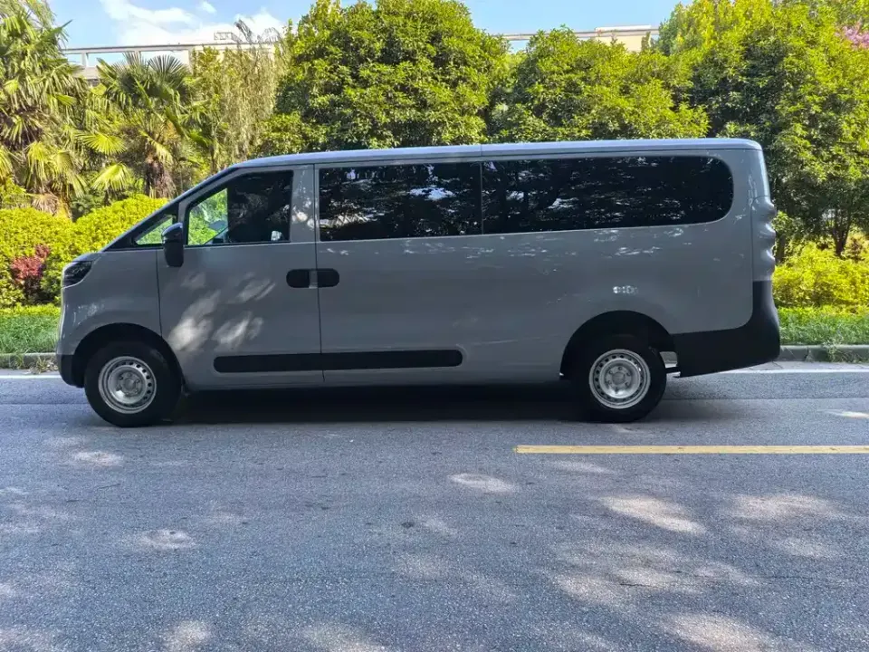 Maxus V1L