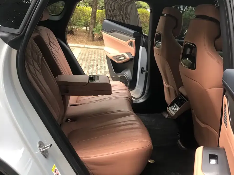 BYD L EV