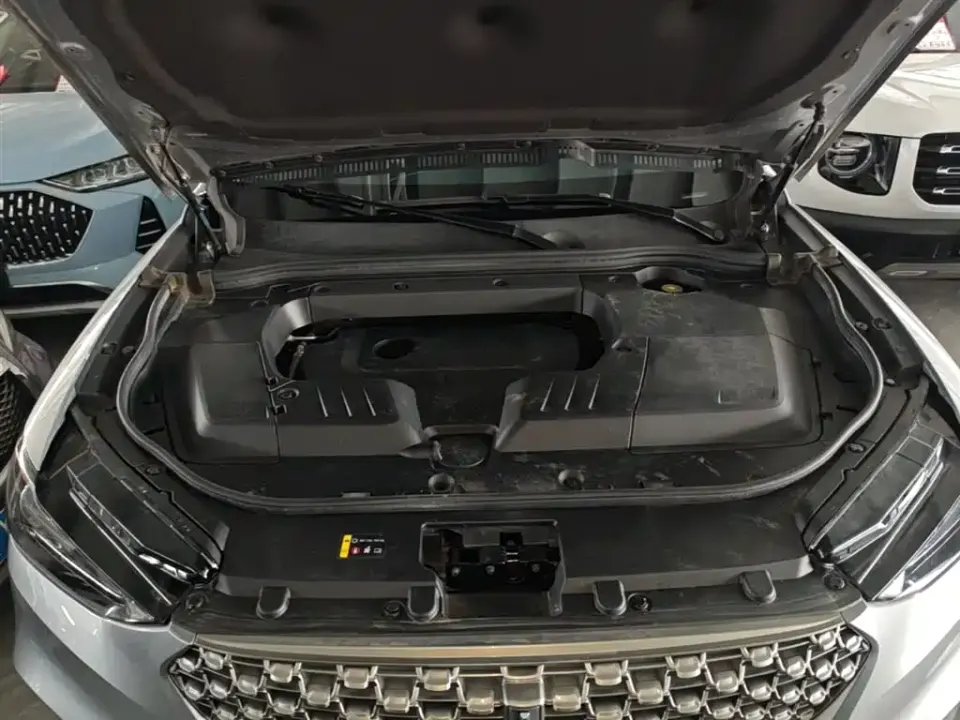 WEY Wey VV6