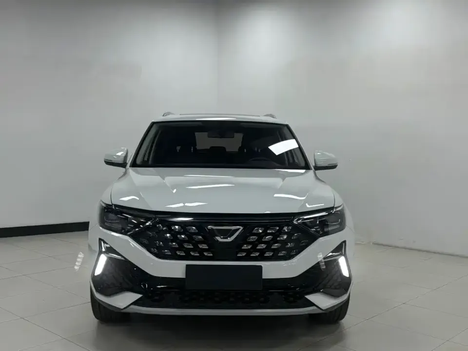 Jetta VS5