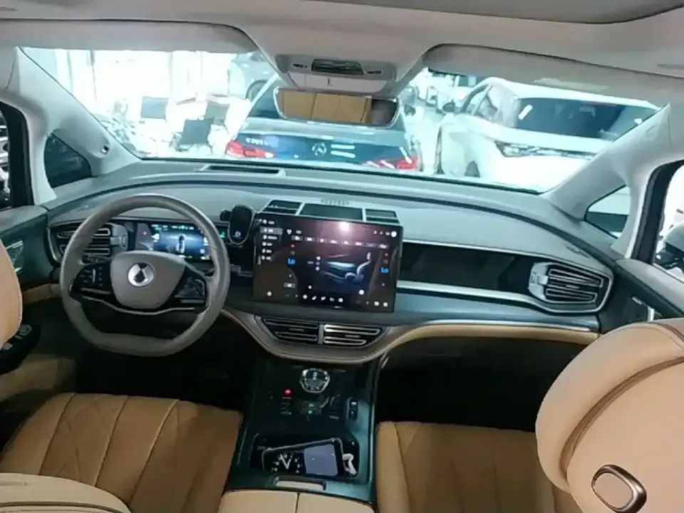 Denza Denza D9