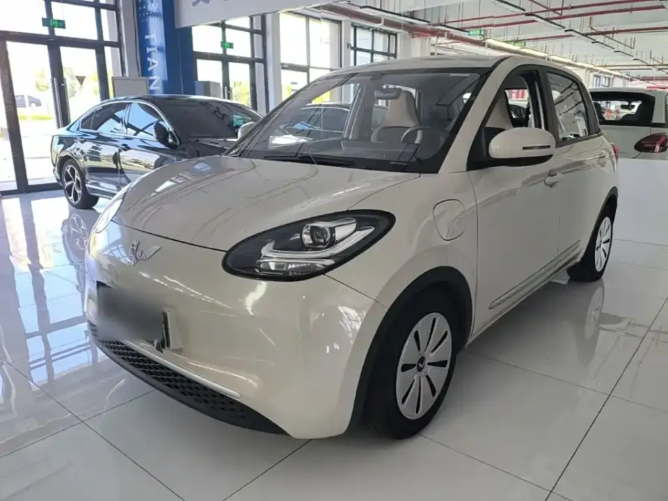 Wuling Bingo