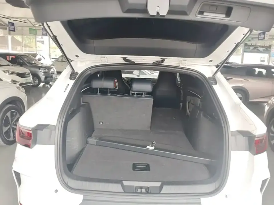 BYD PLUS New Energy