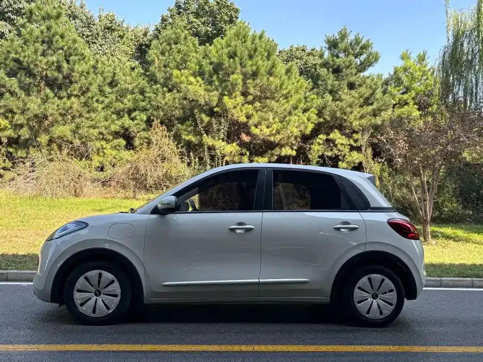 Wuling Bingo