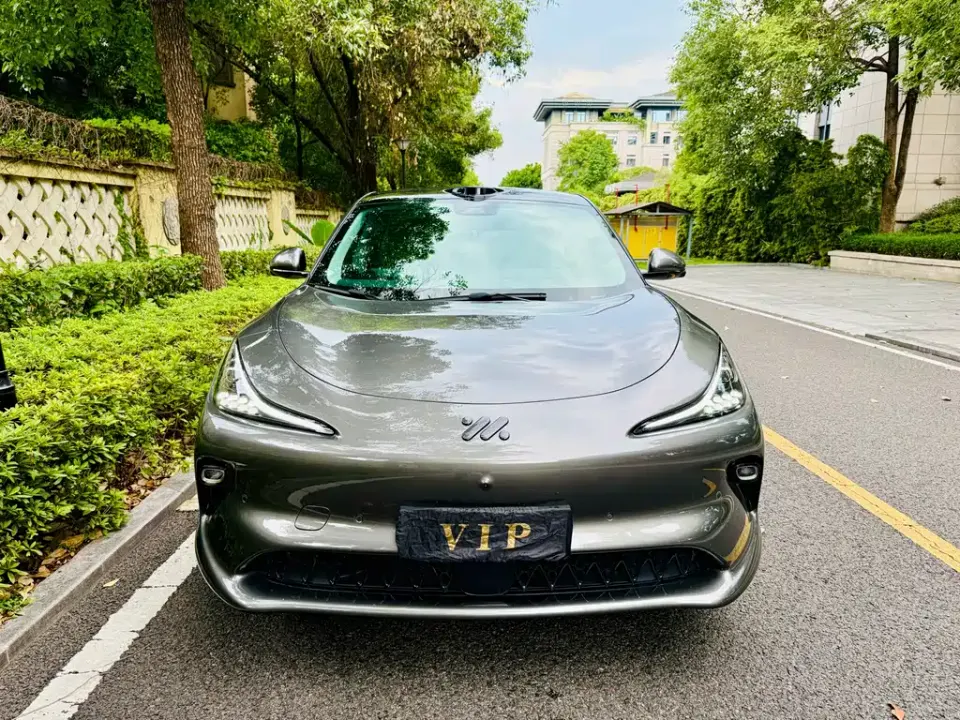 IM Motors IM LS6