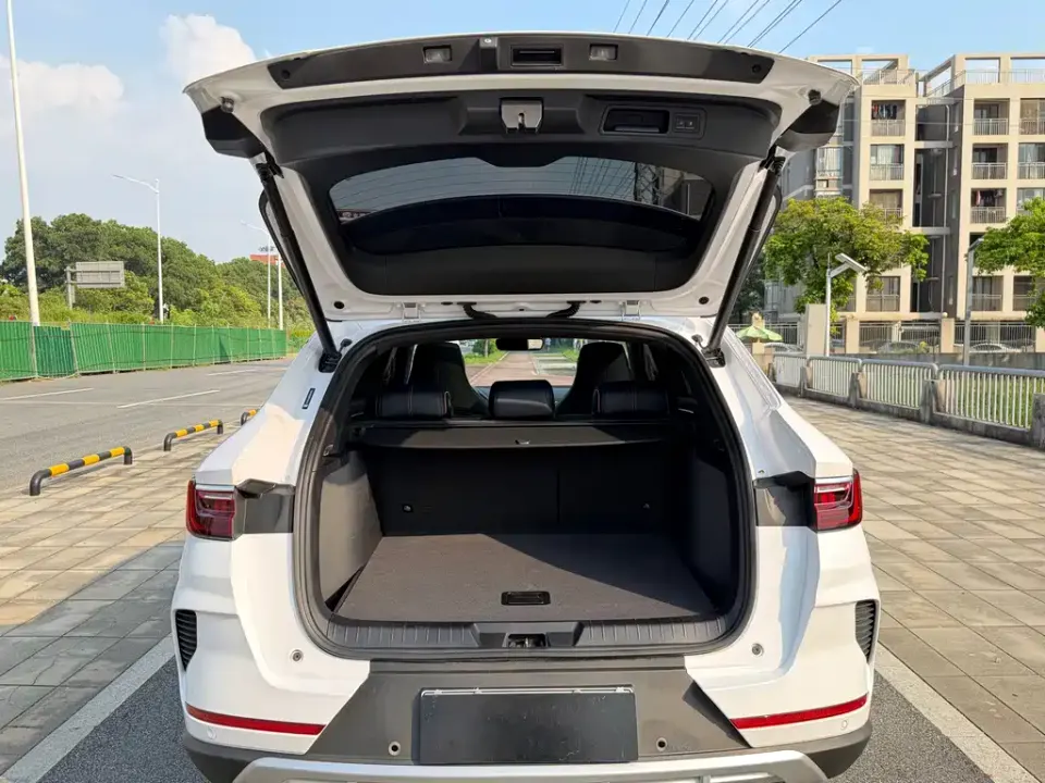 BYD PLUS New Energy