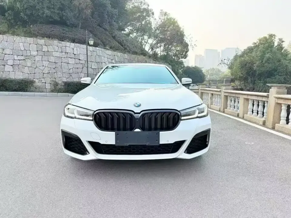 BMW 5 Series (Import)