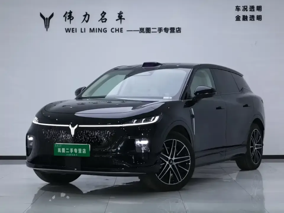 Voyah Zhiyin