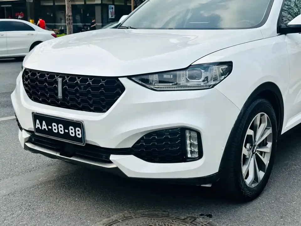 WEY Wey VV6