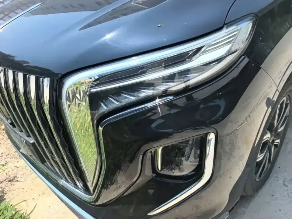 Hongqi Hongqi HQ9
