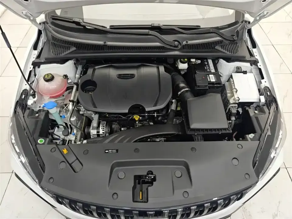 Geely Binrui
