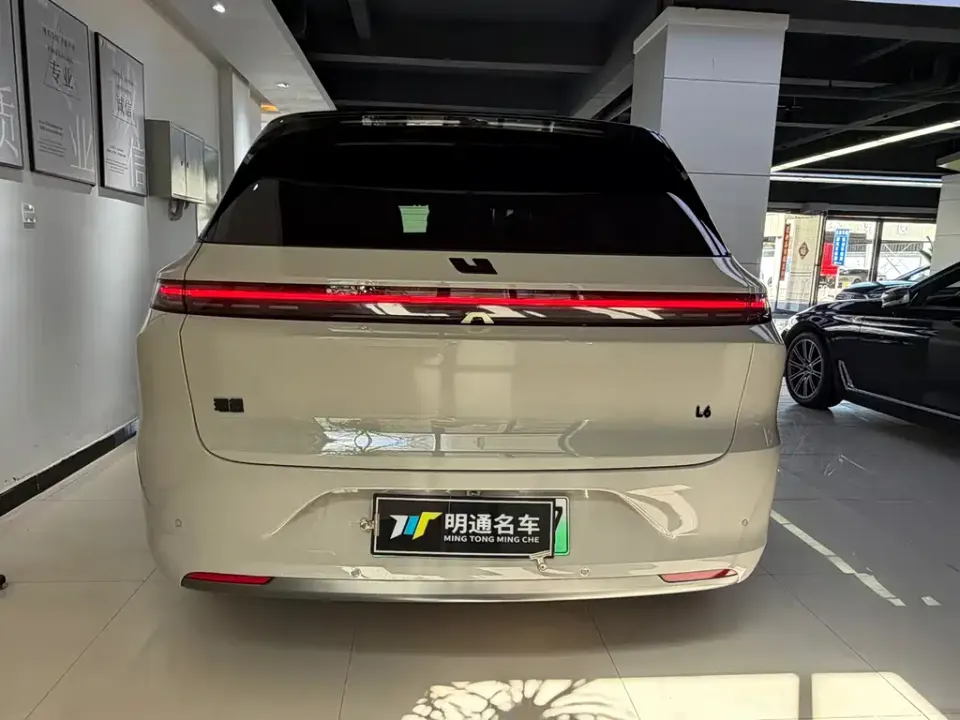 Li Li L6